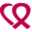 Braster logo